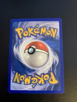 Plusle 8/97 EX Sandstorm Holo Rare Pokemon Card - Image 2