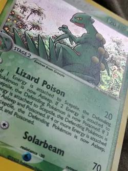 Pokemon TCG Sceptile E-Reader Holo Ruby and Sapphire 11/109 Collect Trade Card - Image 4