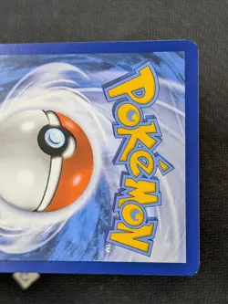 N's Zorua SVP 189 - Pokemon Center Stamped Exclusive ETB Promo Pokemon TCG NM - Image 3