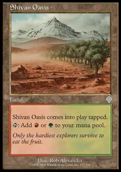 MTG magic cards 2x Shivan Oasis Invasion Light Play, English - Image 1