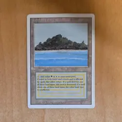 Wizards Tropical Island Land Revised Edition Rare Regular Jesper Myrfors - Image 1