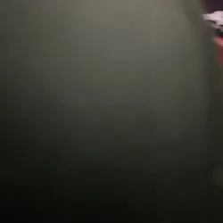 Paradise Chocobo - Birds of Paradise (Borderless) Commander: Final Fantasy Foil - Image 4