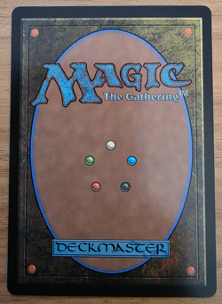MTG - Betor, Kin to All-Spirit Dragon Borderless, Regular TDM - MINT MYTHIC 0308 - Image 2