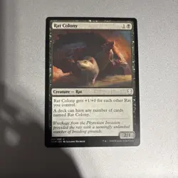 Rat Colony Dominaria Regular - Image 1