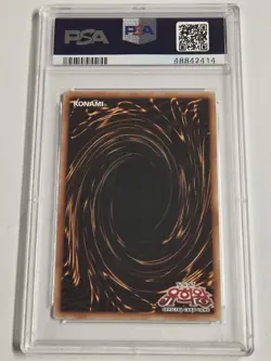 PSA 10 Curse of Dragon LOB-K066 Yugioh Legend of Blue-Eyes White Dragon (Korean) - Image 2