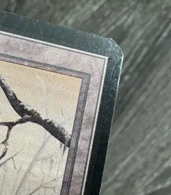 MTG Alpha Swamp (B) - LP (scratch) - Image 3