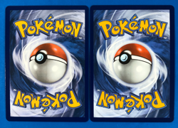 Pokemon Mega Evolutions Illustration Rares Garganacl 147/132 & Snover 140/132 - Image 4