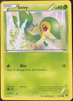 Snivy 5/124 Fates Collide Regular - Pokemon Card - Image 1