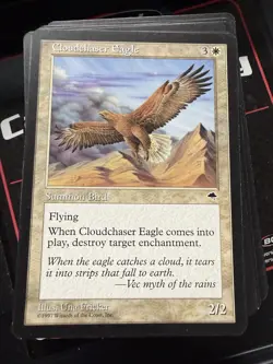 Magic The Gathering 1997 Tempest Lot Of 107 Common Cards MTG CCG - Image 5