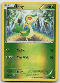 Pokemon Card Snivy (1) REVERSE HOLO Black and White 1/114 - Image 1