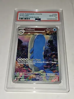 PSA 10 GEM 2025 Pokemon Journey Together Wailord Illustration Rare 162/159 - Image 1
