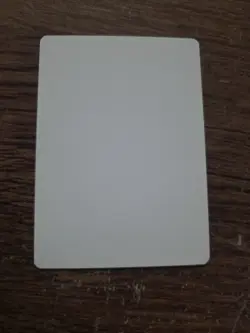 Citanul Druid Artist Proof SIGNED By Jeff A. Menges Mtg - Image 2