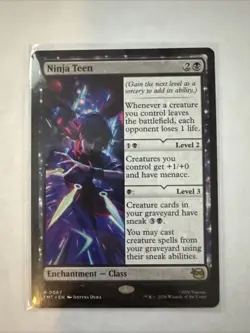 Ninja Teen (Regular) Teenage Mutant Ninja Turtles TMNT Mtg - Image 1