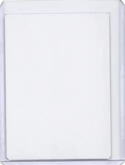 Wishclaw Talisman (White Border) Regular Signed Artist Proof MTG RARE - Image 2