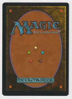 Signed Wall of Ice LP Revised Edition Artist Richard Thomas 1994 WOTC MTG Magic! - Image 2