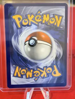 Big Parasol 199/189 Secret Rare Holo – SWSH03: Darkness Ablaze – Pokemon TCG NM - Image 2