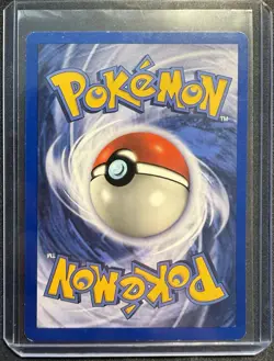 Pokemon TCG Charmeleon 24/102 WotC Base Set Unlimited Uncommon Set of 2 - Image 2