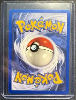 Pokemon TCG Charmeleon 24/102 WotC Base Set Unlimited Uncommon Set of 2 - Image 4