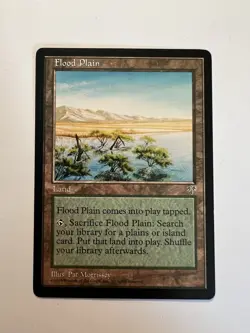 Flood Plain - MTG Mirage - NM - Image 1
