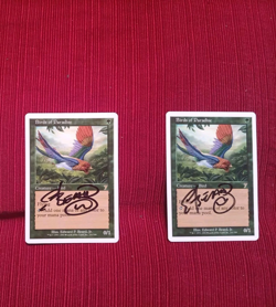 Pick ONE 7th Edition Birds Paradise Signed MTG Edward Beard Jr Magic Autograph - Image 1