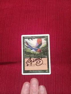 Pick ONE 7th Edition Birds Paradise Signed MTG Edward Beard Jr Magic Autograph - Image 4