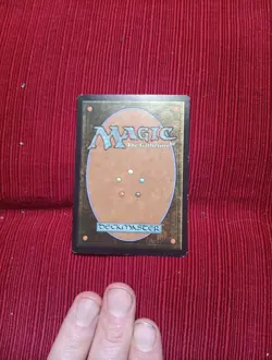 Pick ONE 7th Edition Birds Paradise Signed MTG Edward Beard Jr Magic Autograph - Image 5