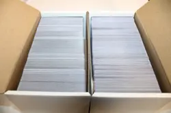 Over 1000 MTG Magic the Gathering Basic Land Cards - Includes Over 200 Foils - Image 1