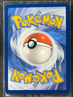 Chewtle 043/142 Reverse Holo Common Stellar Crown Pokemon - Pack Fresh Near Mint - Image 2