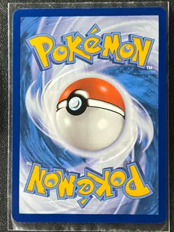 Chewtle 043/142 Reverse Holo Common Stellar Crown Pokemon - Pack Fresh Near Mint - Image 4