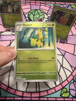 Pokemon TCG Chikorita Bayleaf Meganium MEG 2025 Lot 3 Cards English Holo - Image 3