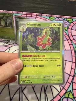 Pokemon TCG Chikorita Bayleaf Meganium MEG 2025 Lot 3 Cards English Holo - Image 4