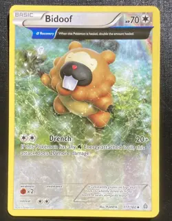 Bidoof 117/160 Pokemon Primal Clash Full Art Uncommon TCG LP - Image 1