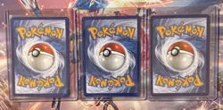 Rowlet, Litten & Popplio First Partner Illustration Collection Promo Set Pokemon - Image 2