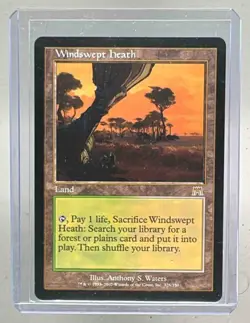 Windswept Heath 2002 Magic: The Gathering Onslaught #328 (B) - Image 1