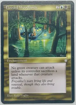 MTG Flooded Woodlands Ice Age Regular - Image 1