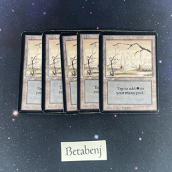 1x MTG Alpha Swamp Version A from Estate Collection - Image 1