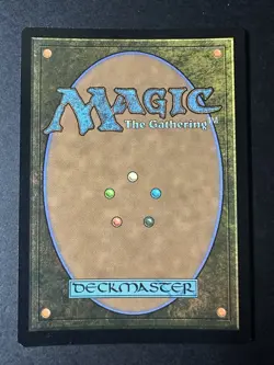 Forest, Full Art Pizza Land 0314, Surge Foil - TMNT, Magic MTG NM - Image 2