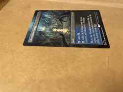 Magic: The Gathering Gloomlake Verge Borderless Rare Land Duskmourn - Image 4