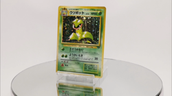 Victreebel 071 Jungle Japanese Holo Rare Pokemon Card Excellent - Image 2