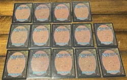 Magic the Gathering Tarkir Dragonstorm 13 Lands Borderless Foil Plus Promo Card - Image 3