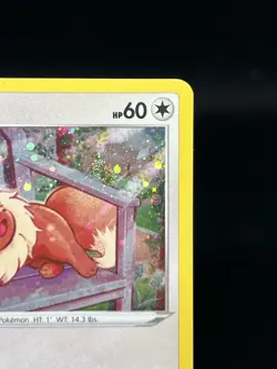 Pokemon TCG Eevee SWSH175 SWSH Black Star Promos NM - Image 3