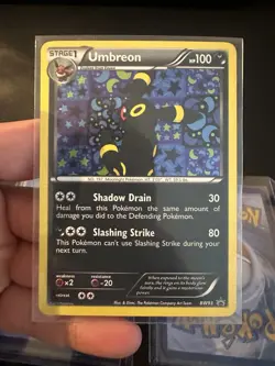 Pokemon TCG Eeveelutions Black & White Promo Set BW87-94 and Sylveon 2013 - Image 3