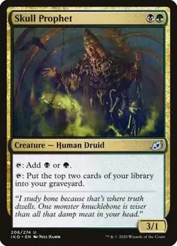 Skull Prophet NM 206 IKOs REG - Image 1