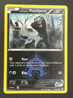 Pokemon TCG Double Crisis 16/34 Team Aqua's Poochyena Reverse Holo Common MP-HP - Image 1