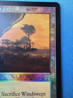 Windswept Heath 328/350 RARE FOIL - Onslaught - Magic The Gathering 2002 - Image 4