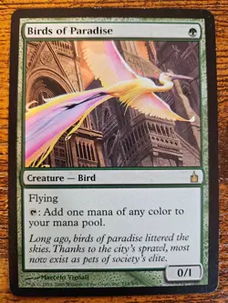 Birds of Paradise Ravnica: City of Guilds Regular - Image 1