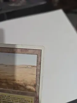 Magic the Gathering Savannah Dual Land, Revised Edition, Light Play English - Image 4