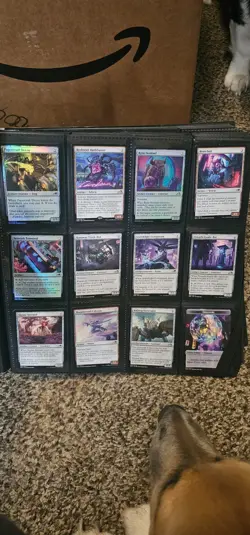 Massive Kamigawa Magic Card Binder Mint Condition (Cards and Binder included) - Image 5