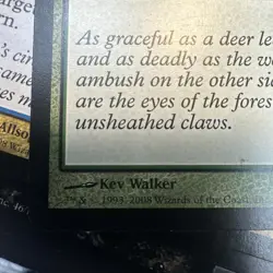 5lb + Old Magic Card Lot Collection Bulk Magic The Gathering approx 2000 + cards - Image 5