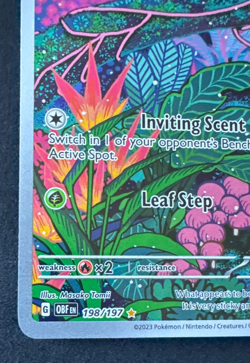 GLOOM 198/197 NM ILLUSTRATION RARE OBSIDIAN FLAMES POKEMON 2023 - Image 5